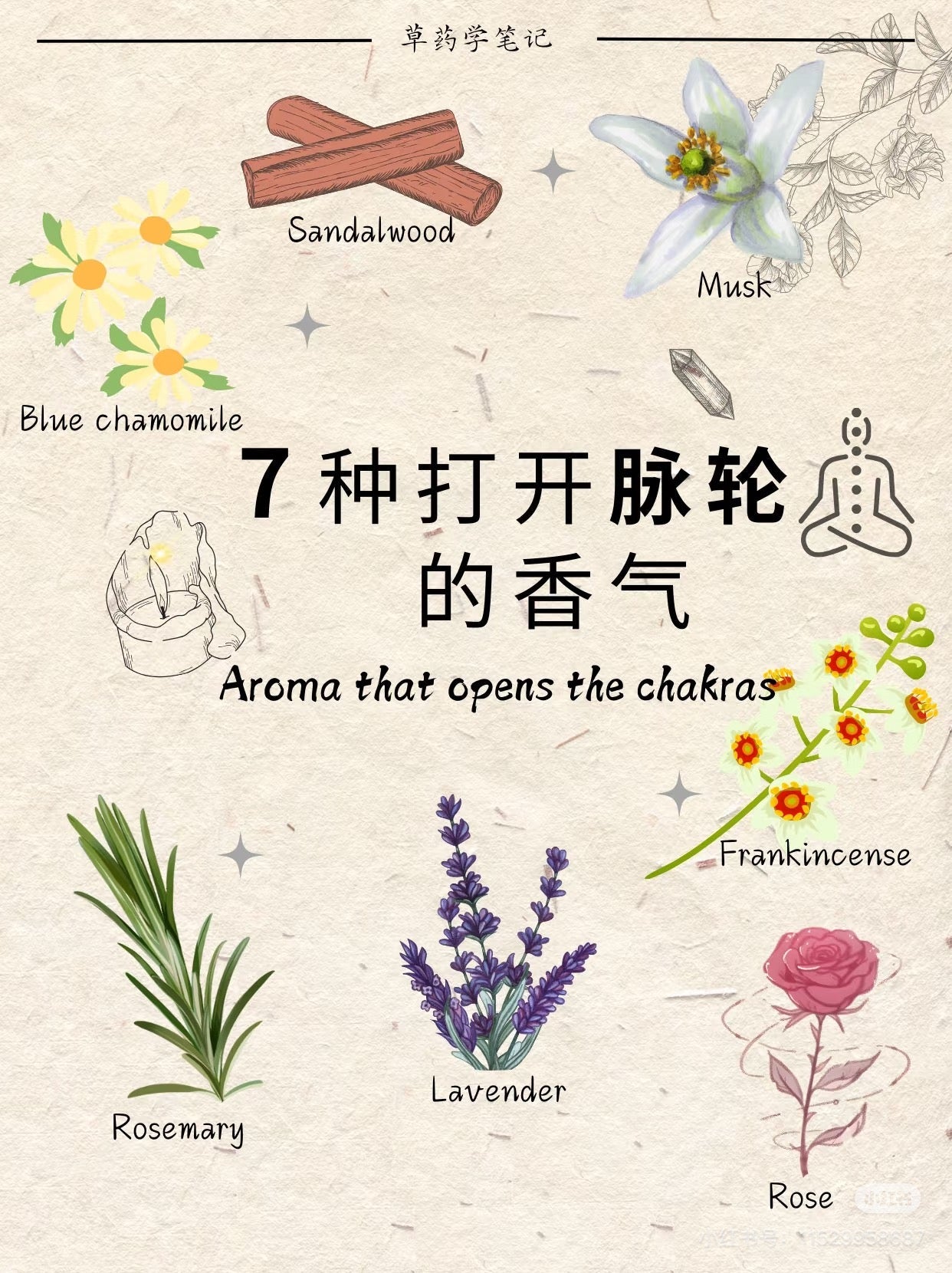 七脉轮精油系列
