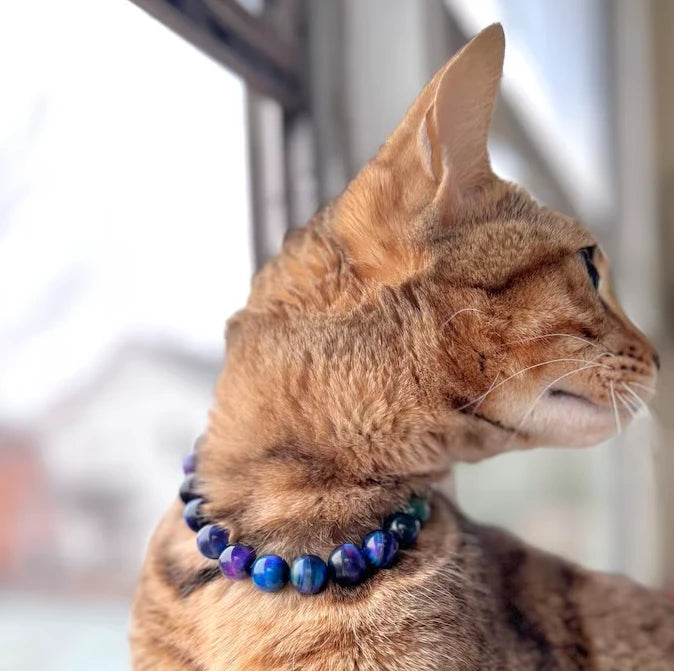 Cat Collar